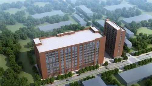 總投資超71億元 東莞這個(gè)鎮(zhèn)要爆發(fā)了...