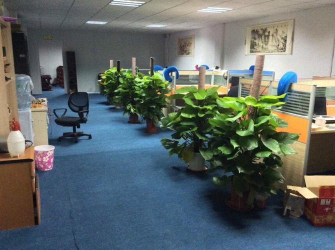 深圳市聯(lián)首掌控科技有限公司